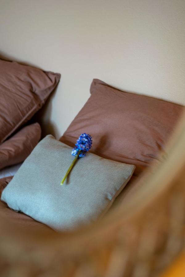 Mosters Bed & Breakfast Guldborg Kültér fotó